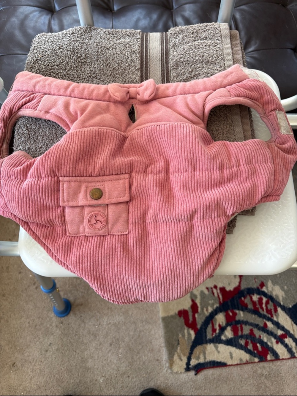 Small lined dog coat